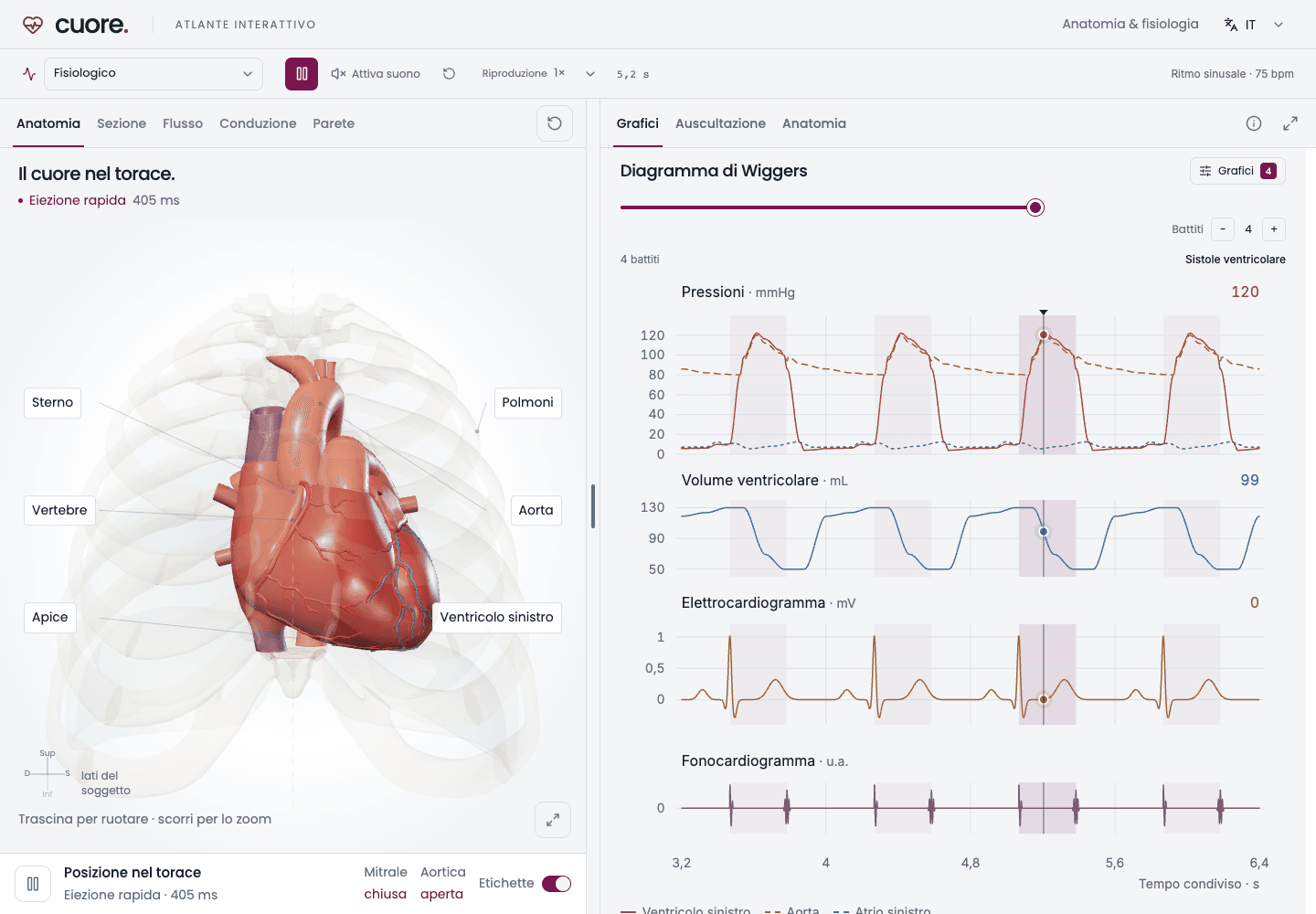 Schermata reale dell’Atlante Dottorio: Cuore