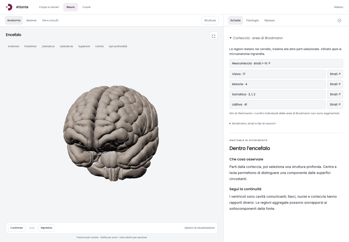 Schermata reale dell’Atlante Dottorio: Neuro